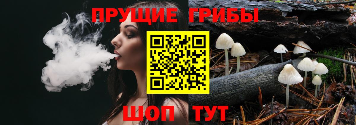 Псилоцибиновые грибы ЛСД Берёзовский