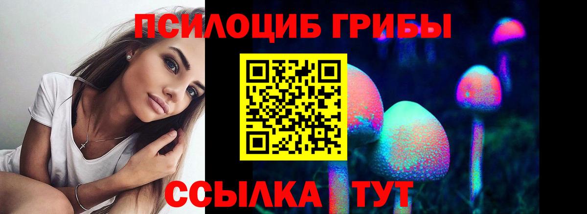 Псилоцибиновые грибы Psilocybe  хочу   Берёзовский  Псилоцибиновые грибы прущие грибы  Вход с VPN 
