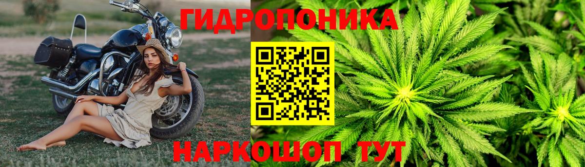 Берёзовский  Конопля Amnesia  Шишки марихуана Ganja  Вход с VPN  МАРИХУАНА LSD WEED  Канабис OG Kush 